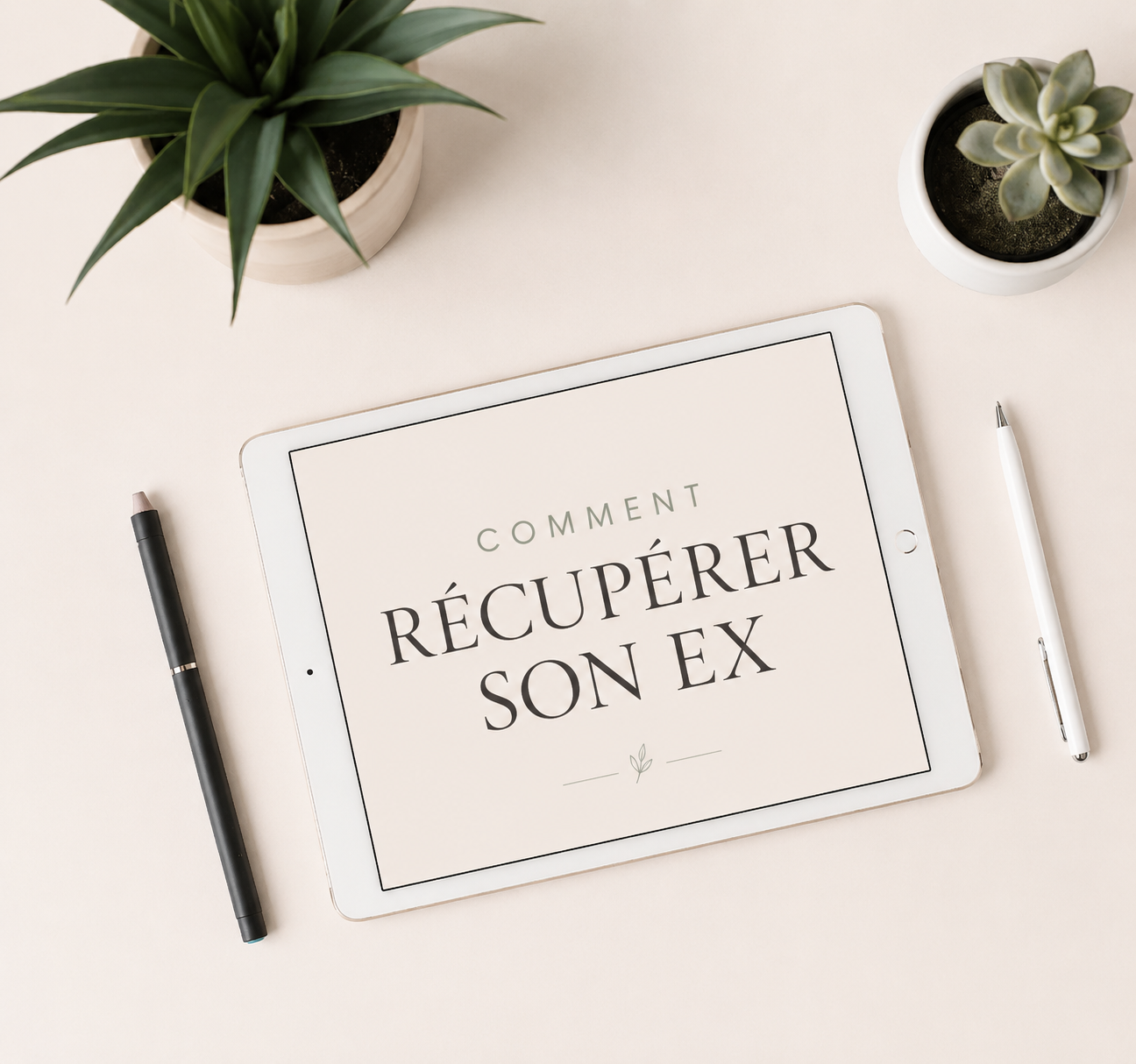 Comment récupérer son Ex